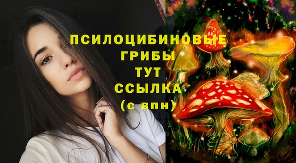 2c-b Навашино
