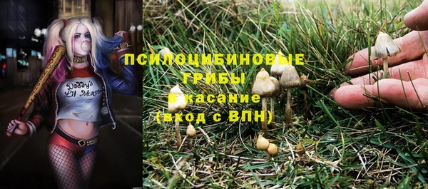 прущая мука Михайловка