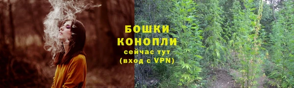 PSILOCYBIN Михайловск