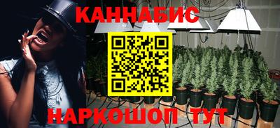 ешки Гатчина