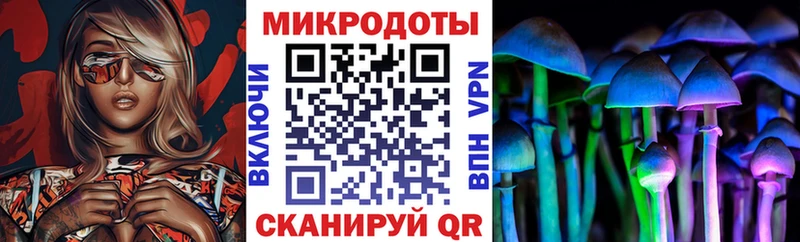 магазин продажи наркотиков  Ивантеевка  Псилоцибиновые грибы Psilocybe 