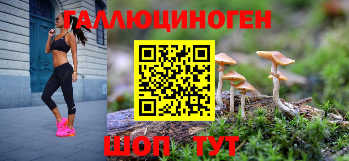 Псилоцибиновые грибы прущие грибы  Вход с VPN  Псилоцибиновые грибы GOLDEN TEACHER  Ивантеевка 
