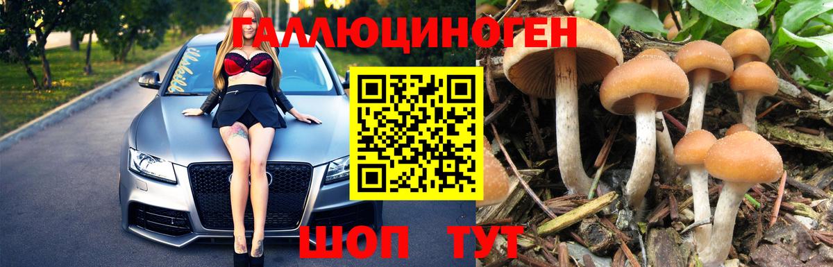 Галлюциногенные грибы Magic Shrooms Ивантеевка