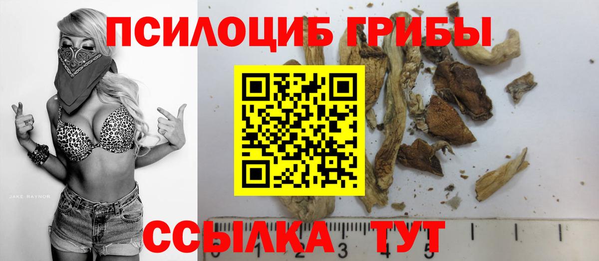 купить наркотик  Ивантеевка  Псилоцибиновые грибы Psilocybe  Галлюциногенные грибы прущие грибы 